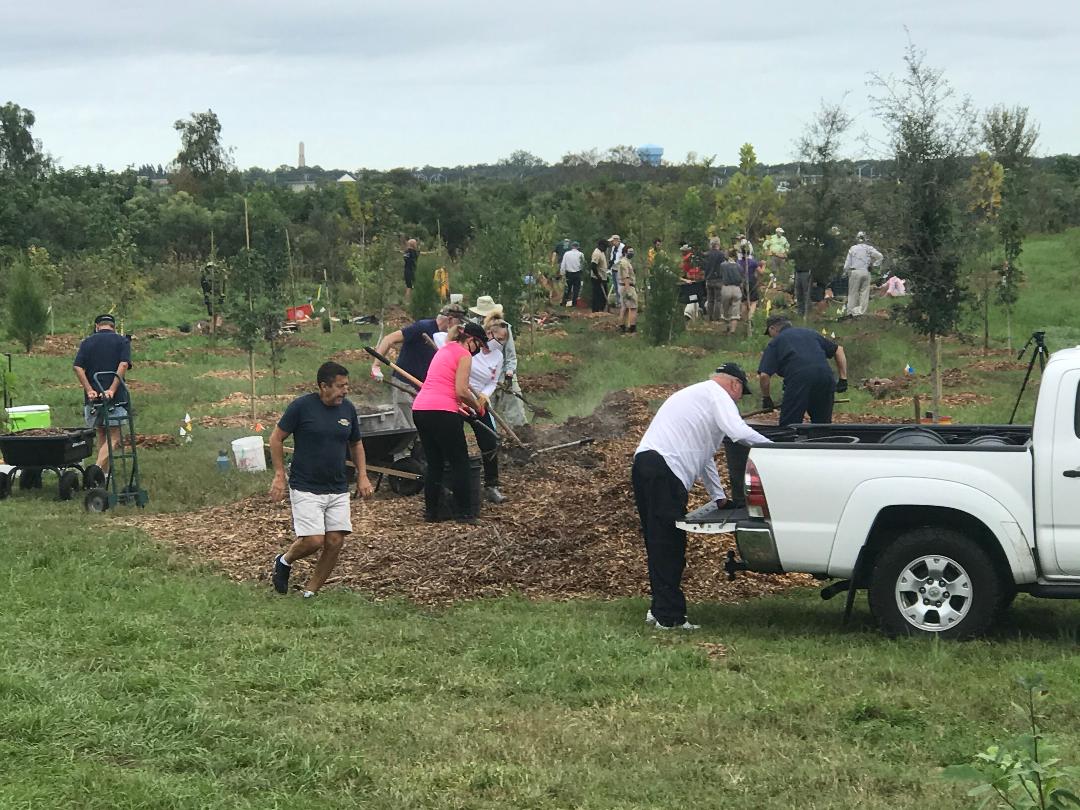 Microforest First Anniversary @ Celery Fields