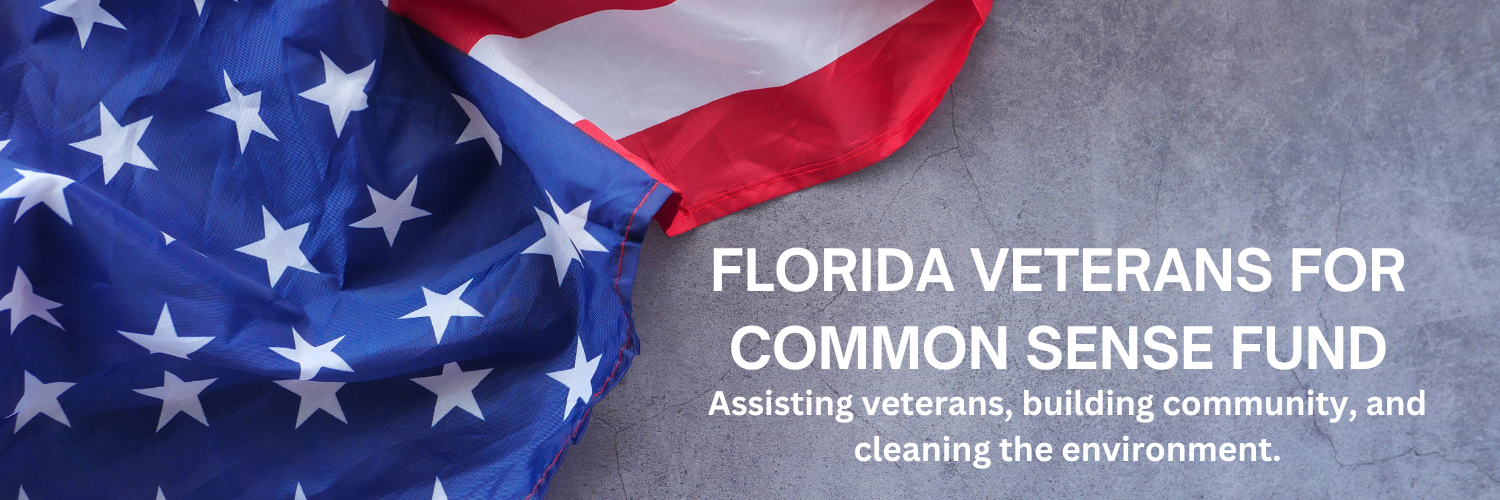 Florida Veterans For Common Sense Fund